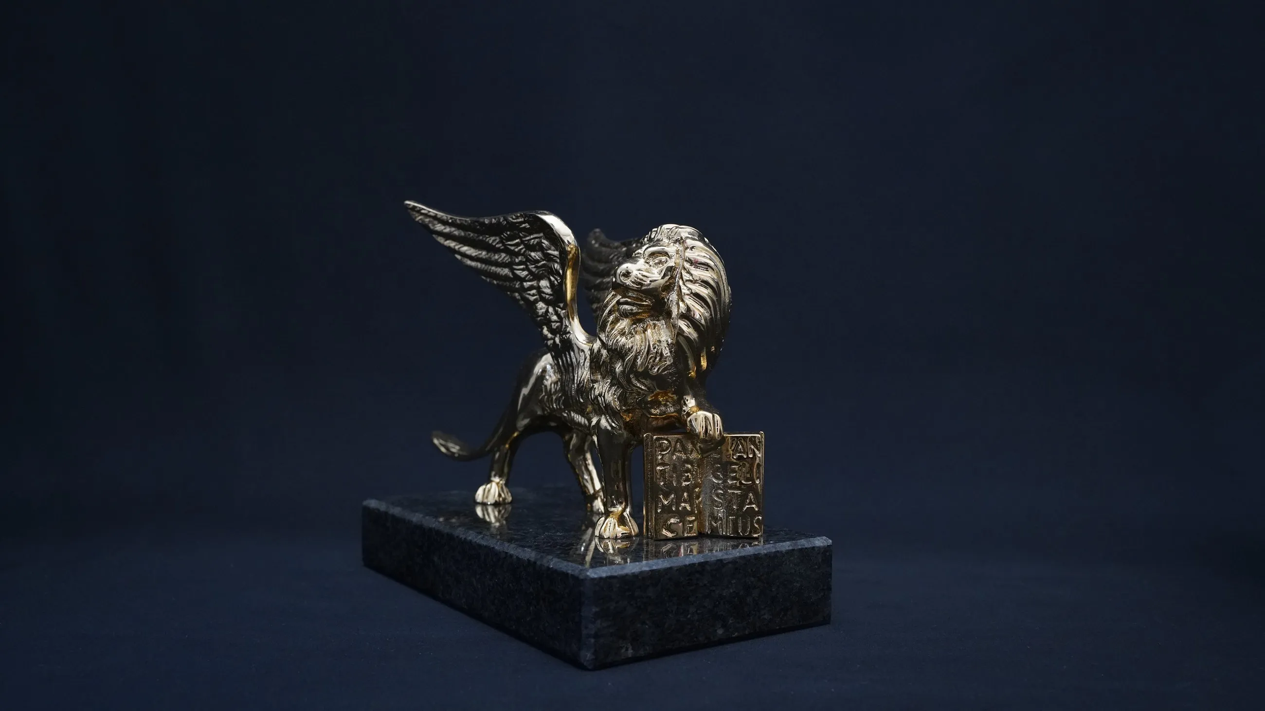 Il Leone di San Marco, trofeo della gara